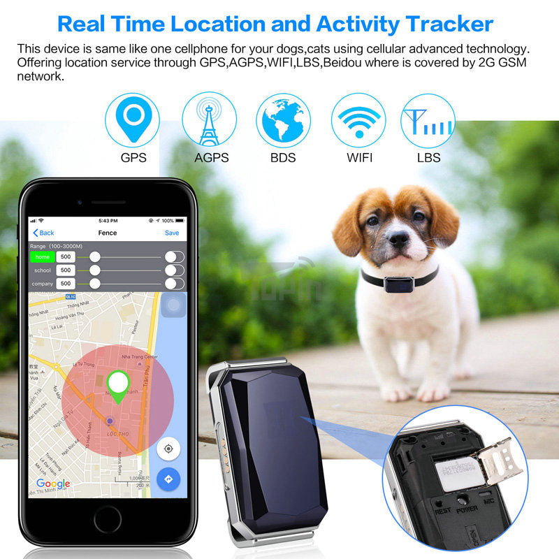 Trasseur GPS pour annimeaux