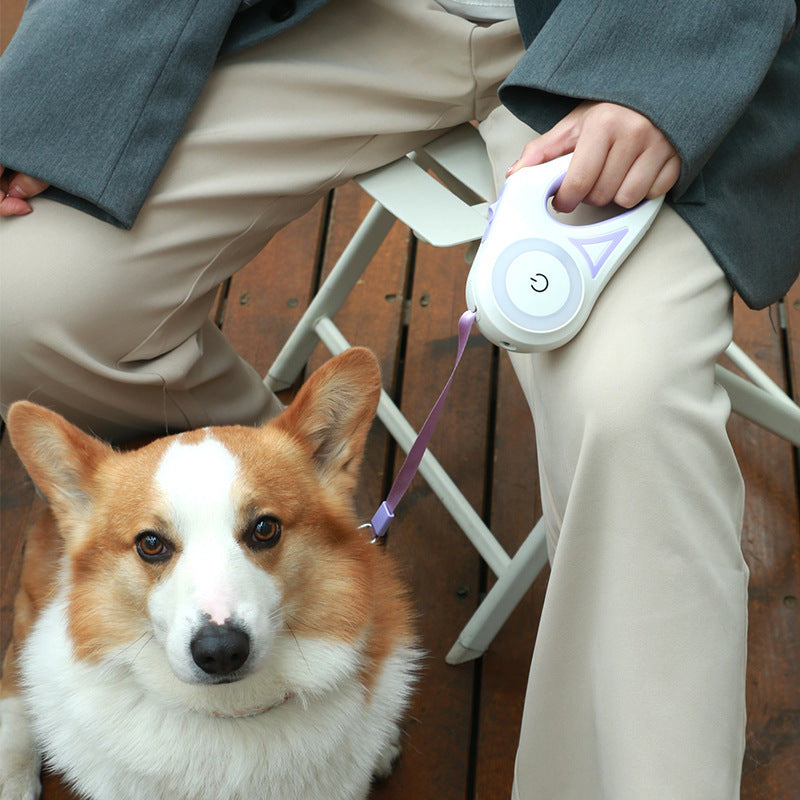 Laisse rétractable pour chien et collier Spotlight, corde de traction automatique pour chien et chat, pour petits et moyens chiens, produit pour animaux de compagnie