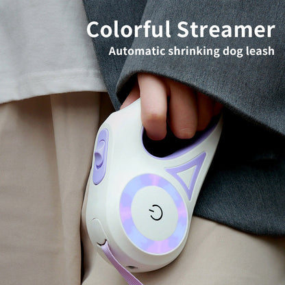 Laisse rétractable pour chien et collier Spotlight, corde de traction automatique pour chien et chat, pour petits et moyens chiens, produit pour animaux de compagnie